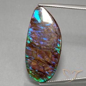 19.21ct 자연스러운 다색 암몰라이트, 팬시한, 불투명체