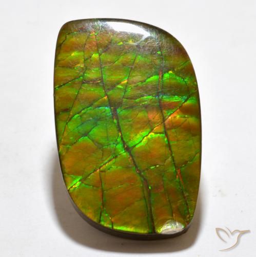19.27ct 자연스러운 다색 암몰라이트, 팬시한, 불투명체
