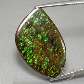 21.29ct 자연스러운 다색 암몰라이트, 팬시한, 불투명체