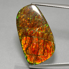 30.98캐럿 천연 멀티컬러 암몰라이트, 멋진 모양, 29.5×16.8 mm, 불투명체