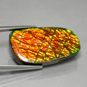 30.98캐럿 천연 멀티컬러 암몰라이트, 멋진 모양, 29.5×16.8 mm, 불투명체