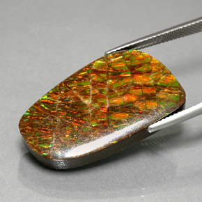 30.98캐럿 천연 멀티컬러 암몰라이트, 멋진 모양, 29.5×16.8 mm, 불투명체