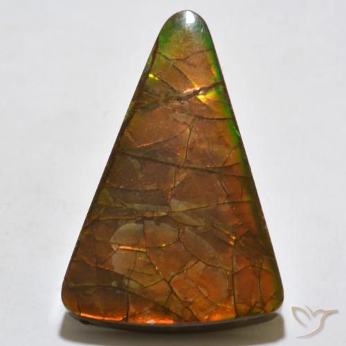 20.44ct 자연스러운 다색 암몰라이트, 일조, 불투명체