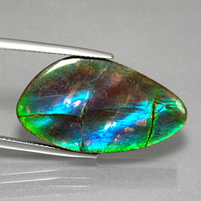 18.18캐럿 천연 멀티컬러 암몰라이트, 멋진 모양, 28.7×16.2 mm, 불투명체