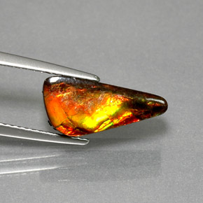 3.13캐럿 천연 멀티컬러 암몰라이트, 멋진 모양, 14.6×6.7 mm, 불투명체