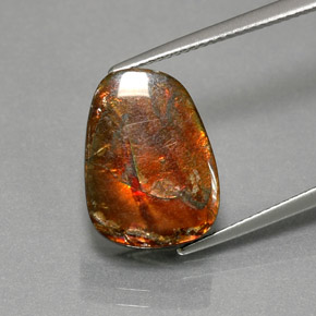 7.76캐럿 천연 멀티컬러 암몰라이트, 멋진 모양, 15.3×11.5 mm, 불투명체