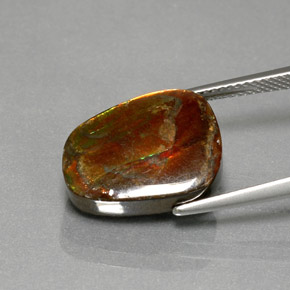 7.76캐럿 천연 멀티컬러 암몰라이트, 멋진 모양, 15.3×11.5 mm, 불투명체