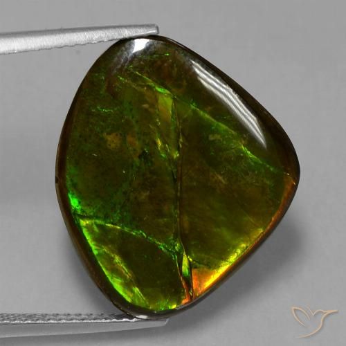 14.70ct 자연스러운 다색 암몰라이트, 팬시한, 불투명체