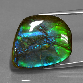 15.30캐럿 천연 멀티컬러 암몰라이트, 멋진 모양, 19.3×17 mm, 불투명체