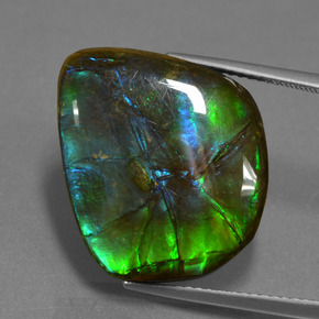 15.30캐럿 천연 멀티컬러 암몰라이트, 멋진 모양, 19.3×17 mm, 불투명체