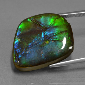 15.30캐럿 천연 멀티컬러 암몰라이트, 멋진 모양, 19.3×17 mm, 불투명체