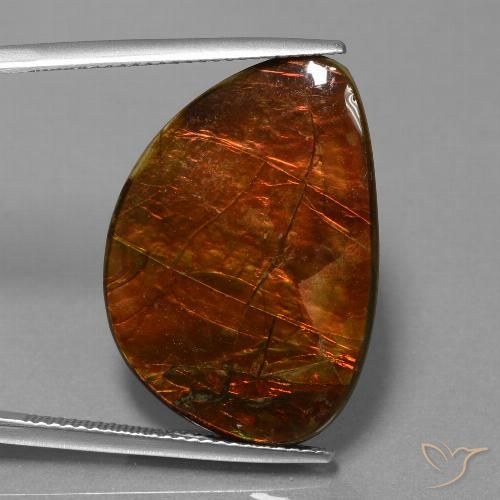 18.53ct 자연스러운 다색 암몰라이트, 팬시한, 불투명체