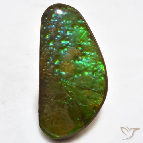 16.81ct 자연스러운 다색 암몰라이트, 팬시한, 불투명체