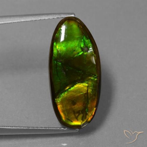 10.85ct 자연스러운 다색 암몰라이트, 팬시한, 불투명체