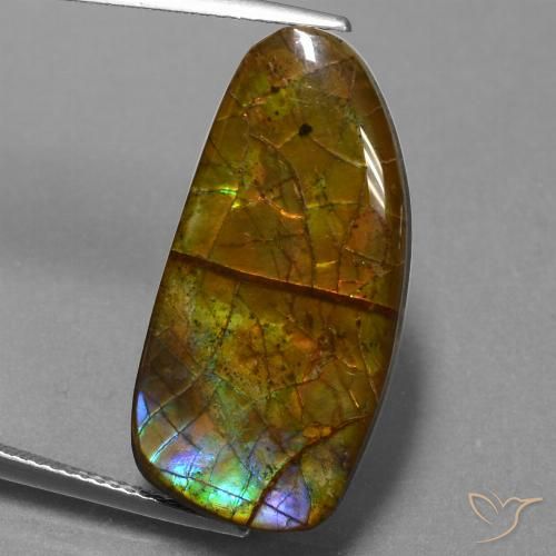 13.89ct 자연스러운 다색 암몰라이트, 팬시한, 불투명체