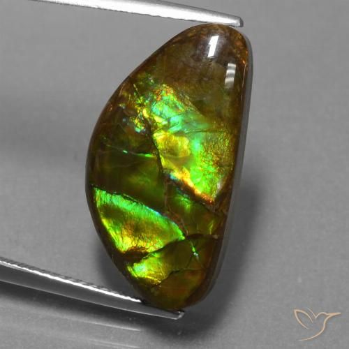 11.30ct 자연스러운 다색 암몰라이트, 팬시한, 불투명체