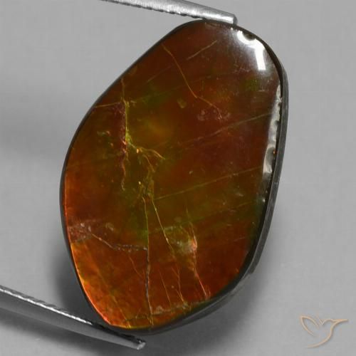 14.61ct 자연스러운 다색 암몰라이트, 팬시한, 불투명체