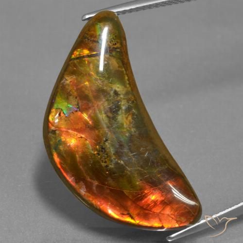 17.19ct 자연스러운 다색 암몰라이트, 팬시한, 불투명체