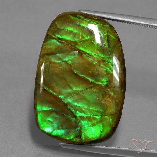 13.93ct 자연스러운 다색 암몰라이트, 팬시한, 불투명체
