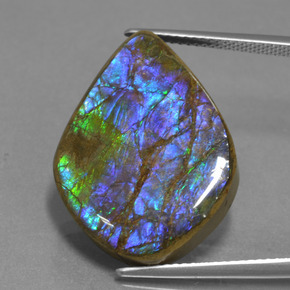 18.07캐럿 천연 멀티컬러 암몰라이트, 멋진 모양, 24.8×18.4 mm, 불투명체