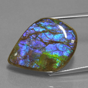 18.07캐럿 천연 멀티컬러 암몰라이트, 멋진 모양, 24.8×18.4 mm, 불투명체