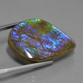 18.07캐럿 천연 멀티컬러 암몰라이트, 멋진 모양, 24.8×18.4 mm, 불투명체