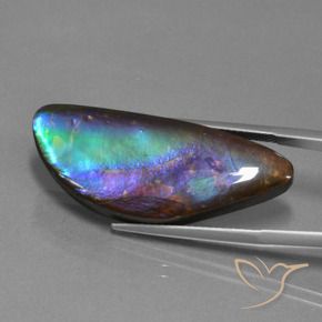 21.30캐럿 천연 멀티컬러 암몰라이트, 멋진 모양, 33.9×13.8 mm, 불투명체