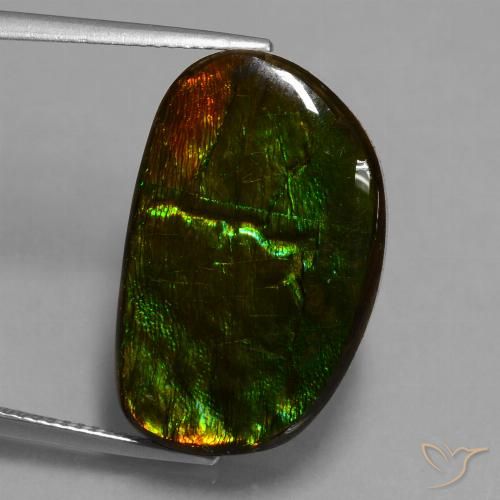 17.20ct 자연스러운 다색 암몰라이트, 팬시한, 불투명체