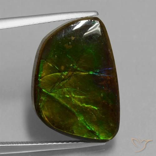 14.74ct 자연스러운 다색 암몰라이트, 팬시한, 불투명체