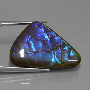 22.64캐럿 천연 다색 암몰라이트, 멋진 모양, 불투명체