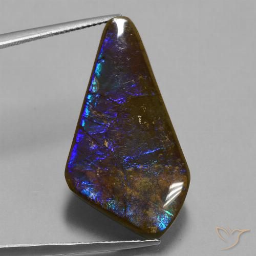 19.82ct 자연스러운 다색 암몰라이트, 팬시한, 불투명체