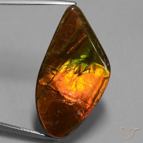 21.71ct 자연스러운 다색 암몰라이트, 팬시한, 불투명체