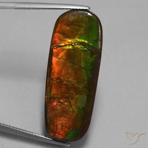 24.02ct 자연스러운 다색 암몰라이트, 팬시한, 불투명체