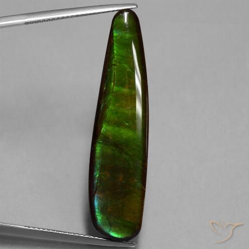 19.66ct 자연스러운 다색 암몰라이트, 팬시한, 불투명체