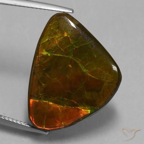 15.18ct 자연스러운 다색 암몰라이트, 팬시한, 불투명체