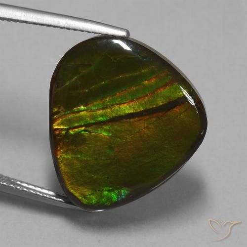 16.74ct 자연스러운 다색 암몰라이트, 팬시한, 불투명체