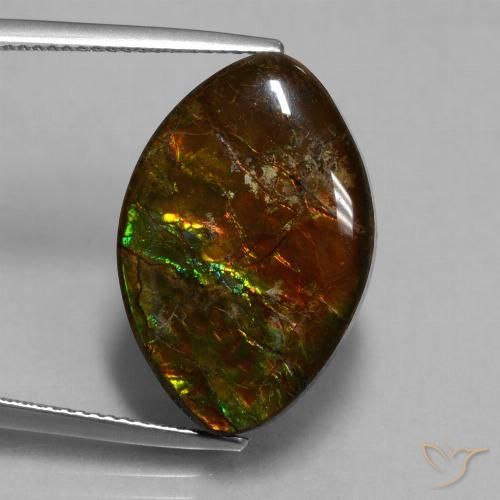 13.51ct 자연스러운 다색 암몰라이트, 보석, 불투명체