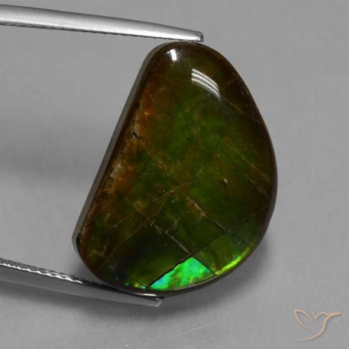 15.89ct 자연스러운 다색 암몰라이트, 팬시한, 불투명체