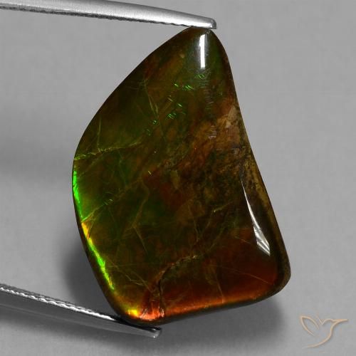 15.62ct 자연스러운 다색 암몰라이트, 팬시한, 불투명체