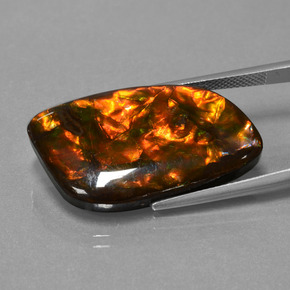 20.42캐럿 천연 다색 암몰라이트, 멋진 모양, 불투명체