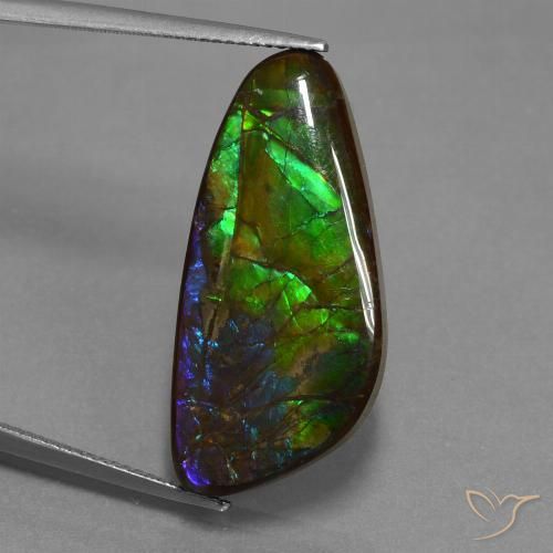 16.76ct 자연스러운 다색 암몰라이트, 팬시한, 불투명체