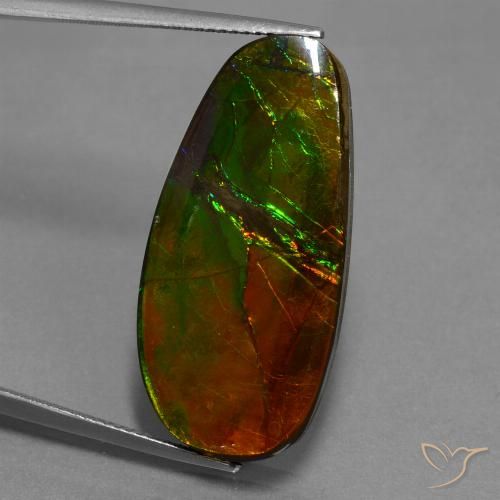 21.63ct 자연스러운 다색 암몰라이트, 팬시한, 불투명체