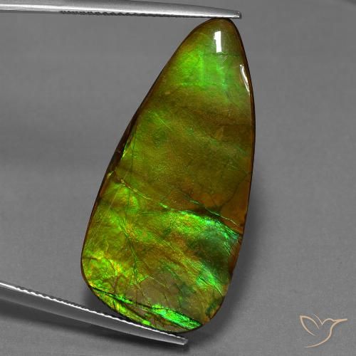 24.28ct 자연스러운 다색 암몰라이트, 팬시한, 불투명체