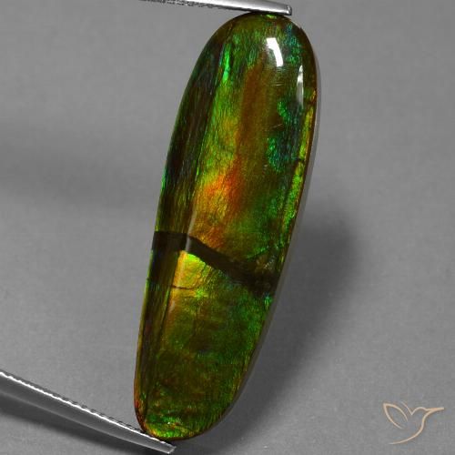 23.33ct 자연스러운 다색 암몰라이트, 팬시한, 불투명체