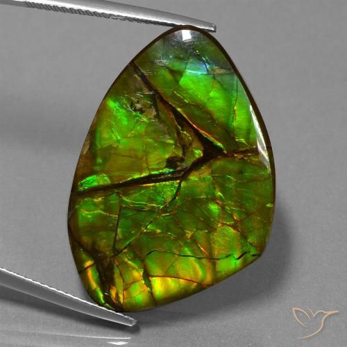 24.51ct 자연스러운 다색 암몰라이트, 팬시한, 불투명체