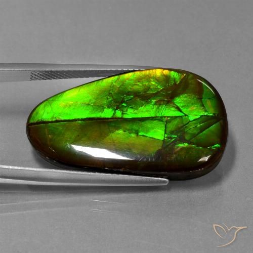 21.60ct 자연스러운 다색 암몰라이트, 팬시한, 불투명체