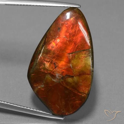 23.21ct 자연스러운 다색 암몰라이트, 팬시한, 불투명체