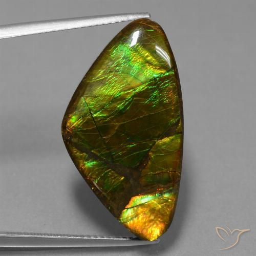 18.77ct 자연스러운 다색 암몰라이트, 팬시한, 불투명체