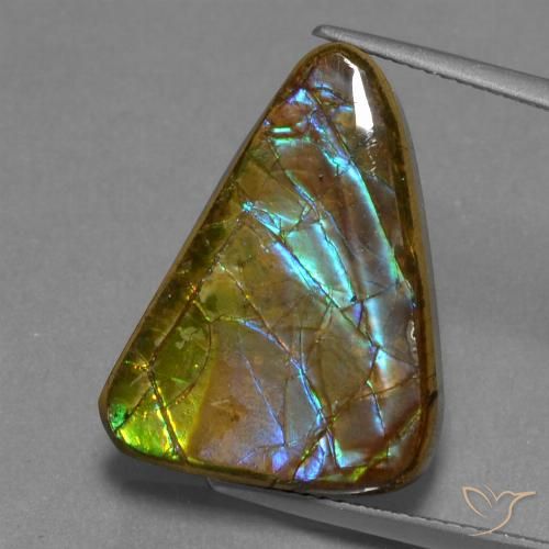 13.18ct 자연스러운 다색 암몰라이트, 일조, 불투명체