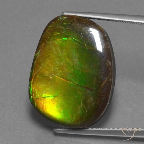 14.13ct 자연스러운 다색 암몰라이트, 팬시한, 불투명체
